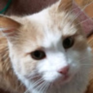 Meet your Posher, Glendalee